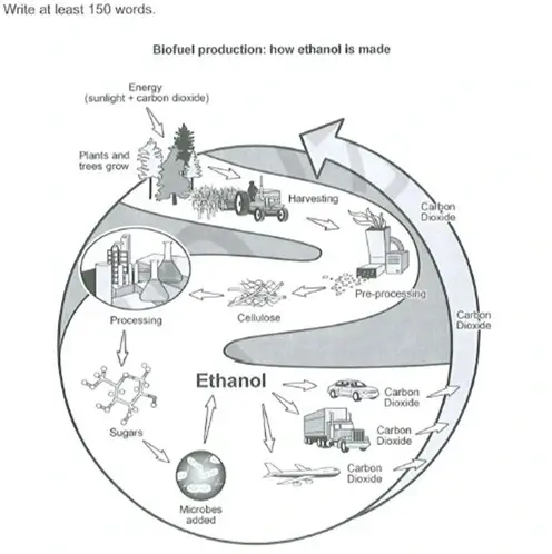19.3 (2) (1) biofuel production